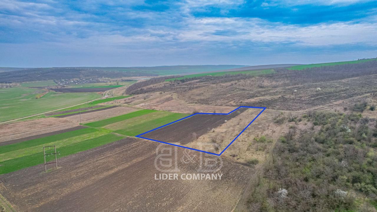 Spre vânzare terenuri agricole în Bacioi – 7, 17, 33 Ari