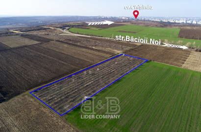 Se vinde Teren agricol în Bacioi, 2ha
